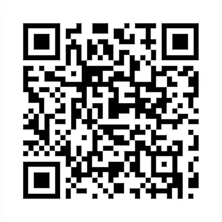 Flaminia 259 - As Have Never Seen * روما